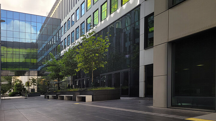 Photo of a modern building. The facade is lime-grey.